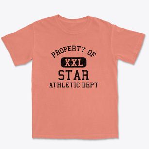 Star North Carolina Athletic Dept Premium Heavyweight T-shirt