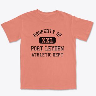 Port Leyden New York Athletic Dept Premium Heavyweight T-shirt