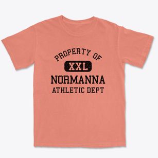 Normanna Texas Athletic Dept Premium Heavyweight T-shirt