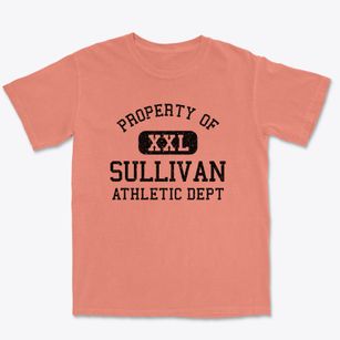 Sullivan Missouri Athletic Dept Premium Heavyweight T-shirt