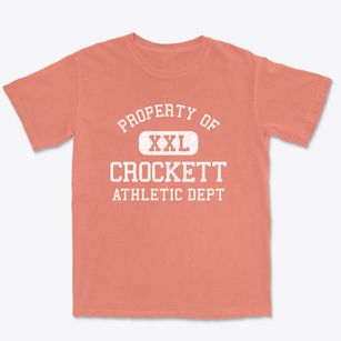 Crockett Texas Athletic Dept Premium Heavyweight T-shirt