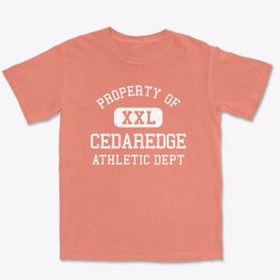 Cedaredge Colorado Athletic Dept Premium Heavyweight T-shirt