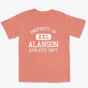 Alanson Michigan Athletic Dept Premium Heavyweight T-shirt