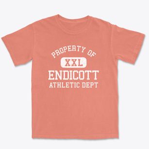Endicott New York Athletic Dept Premium Heavyweight T-shirt