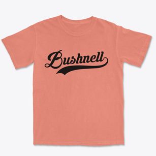 Bushnell Illinois Vintage Team Premium Heavyweight T-shirt