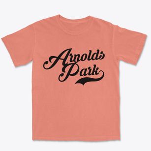 Arnolds Park Iowa Vintage Team Premium Heavyweight T-shirt
