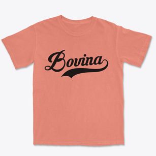 Bovina Wisconsin Vintage Team Premium Heavyweight T-shirt