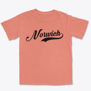 Norwich Kansas Vintage Team Premium Heavyweight T-shirt