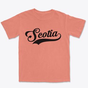 Scotia Nebraska Vintage Team Premium Heavyweight T-shirt