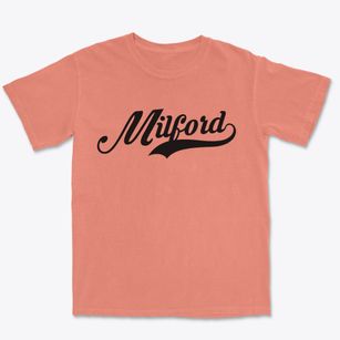 Milford Delaware Vintage Team Premium Heavyweight T-shirt