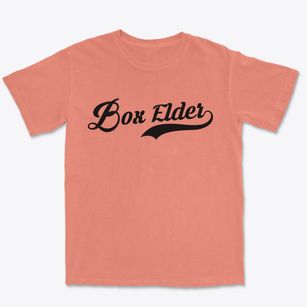 Box Elder South Dakota Vintage Team Premium Heavyweight T-shirt
