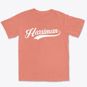 Harriman New York Vintage Team Premium Heavyweight T-shirt