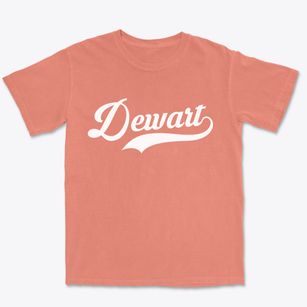 Dewart Pennsylvania Vintage Team Premium Heavyweight T-shirt