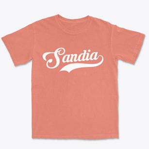 Sandia Texas Vintage Team Premium Heavyweight T-shirt