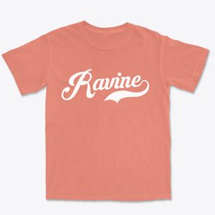 Ravine Pennsylvania Vintage Team Premium Heavyweight T-shirt
