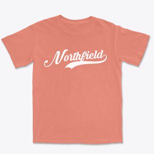 Northfield Minnesota Vintage Team Premium Heavyweight T-shirt