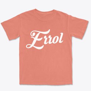 Errol New Hampshire Vintage Team Premium Heavyweight T-shirt