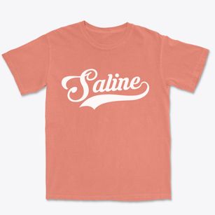 Saline Louisiana Vintage Team Premium Heavyweight T-shirt