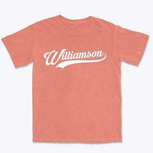 Williamson Illinois Vintage Team Premium Heavyweight T-shirt