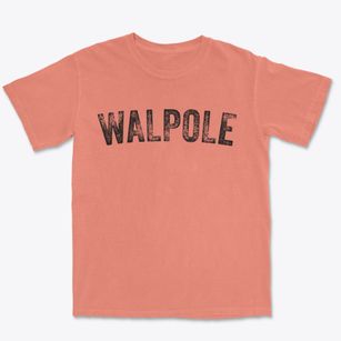 Walpole New Hampshire Timeless Retro Premium Heavyweight T-shirt