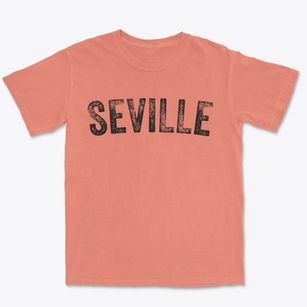 Seville Ohio Timeless Retro Premium Heavyweight T-shirt