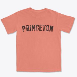 Princeton North Carolina Timeless Retro Premium Heavyweight T-shirt
