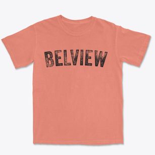 Belview Minnesota Timeless Retro Premium Heavyweight T-shirt