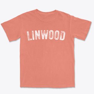 Linwood New Jersey Timeless Retro Premium Heavyweight T-shirt