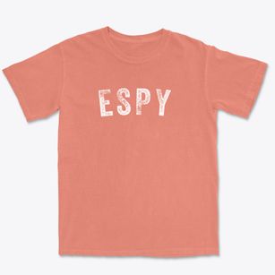 Espy Pennsylvania Timeless Retro Premium Heavyweight T-shirt