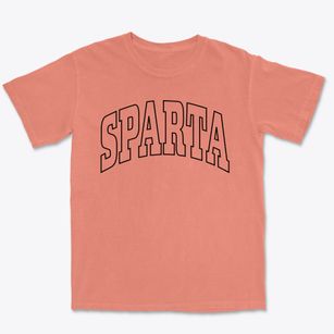 Sparta North Carolina Trendy Block Premium Heavyweight T-shirt