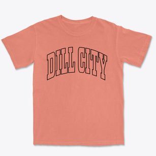 Dill City Oklahoma Trendy Block Premium Heavyweight T-shirt