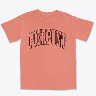 Pierpont South Dakota Trendy Block Premium Heavyweight T-shirt