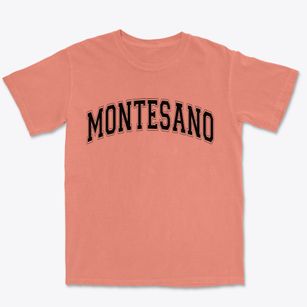 Montesano Washington Varsity Premium Heavyweight T-shirt