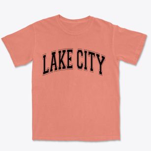 Lake City Pennsylvania Varsity Premium Heavyweight T-shirt