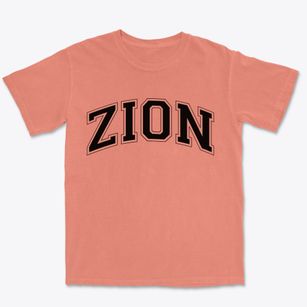 Zion Pennsylvania Varsity Premium Heavyweight T-shirt
