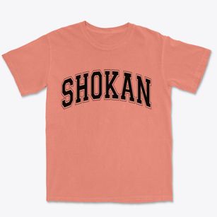 Shokan New York Varsity Premium Heavyweight T-shirt
