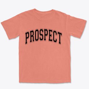 Prospect Pennsylvania Varsity Premium Heavyweight T-shirt