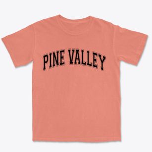 Pine Valley New York Varsity Premium Heavyweight T-shirt