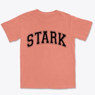Stark New Hampshire Varsity Premium Heavyweight T-shirt