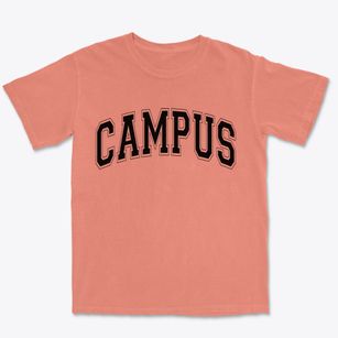 Campus Illinois Varsity Premium Heavyweight T-shirt