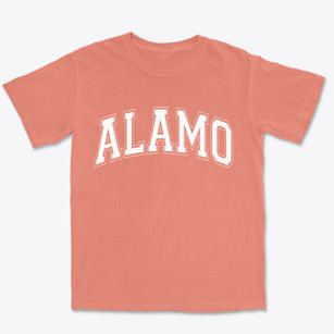 Alamo North Dakota Varsity Premium Heavyweight T-shirt