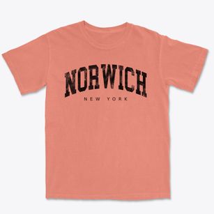 Norwich New York Urban Vibe Premium Heavyweight T-shirt