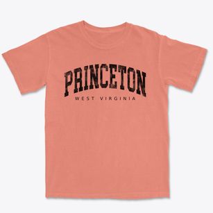 Princeton West Virginia Urban Vibe Premium Heavyweight T-shirt