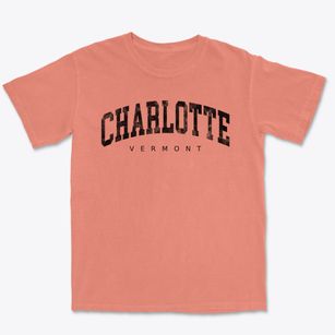 Charlotte Vermont Urban Vibe Premium Heavyweight T-shirt