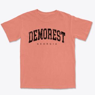 Demorest Georgia Urban Vibe Premium Heavyweight T-shirt