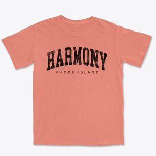Harmony Rhode Island Urban Vibe Premium Heavyweight T-shirt