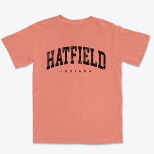 Hatfield Indiana Urban Vibe Premium Heavyweight T-shirt