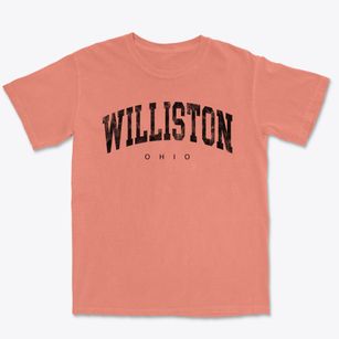 Williston Ohio Urban Vibe Premium Heavyweight T-shirt