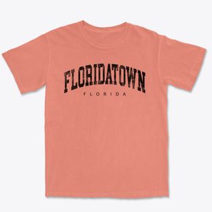 Floridatown Florida Urban Vibe Premium Heavyweight T-shirt
