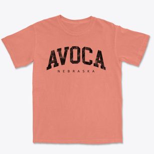 Avoca Nebraska Urban Vibe Premium Heavyweight T-shirt